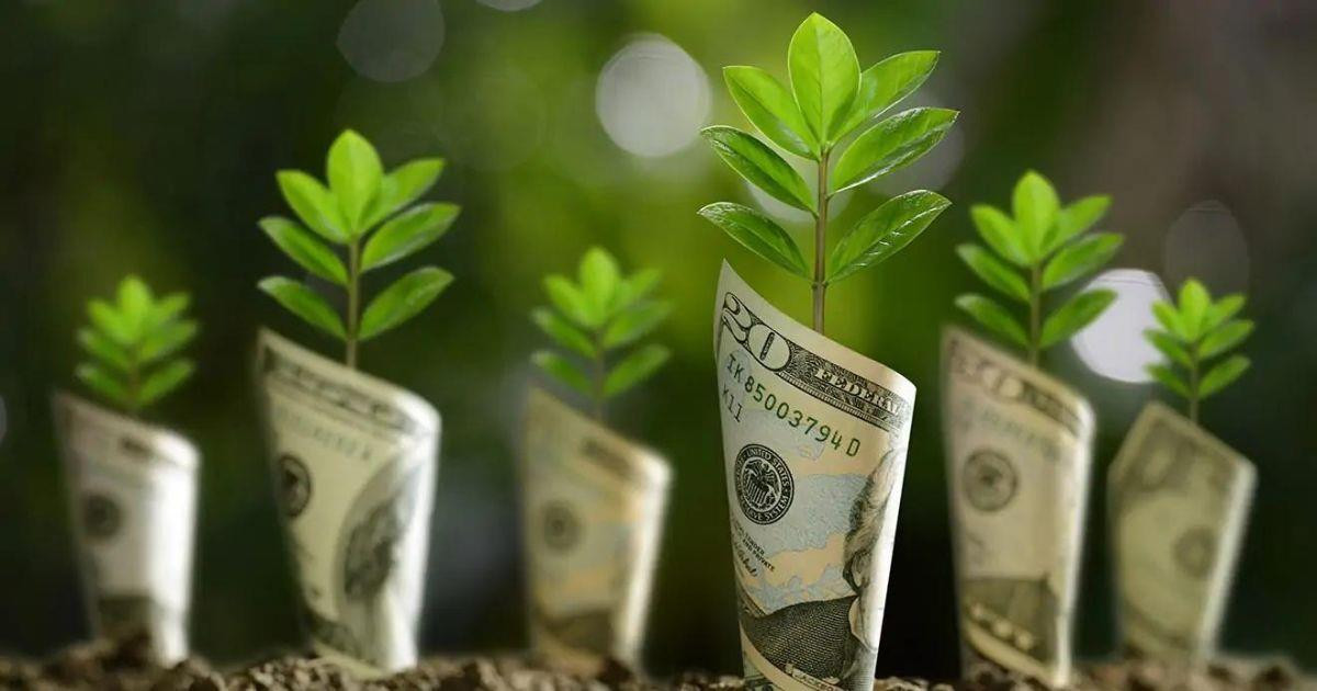 Các yếu tố tác động đến quản lý rủi ro ESG trong Tổ chức Tài chính - Ngân hàng